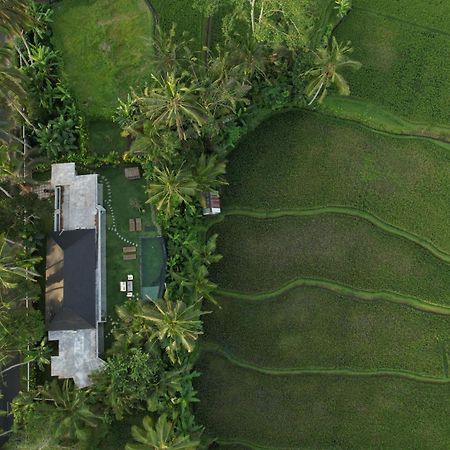 Hatiku Di Bali - Ubud Tegallalang  Exterior photo